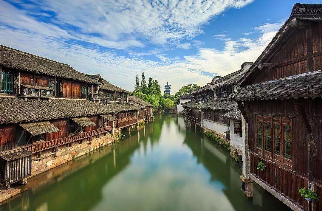 僵尸短跑